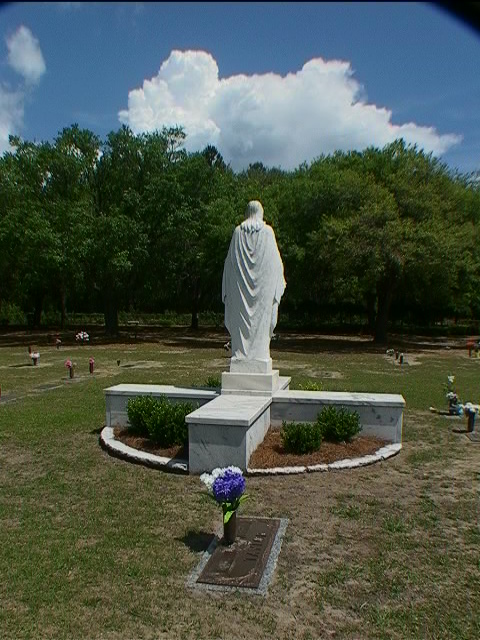 Home Page Image